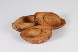 x134lw Natural dried half coconut shells 14x21cm