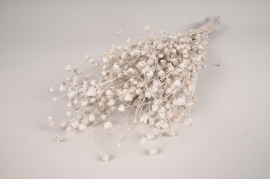 x138ab White dried flax H55cm