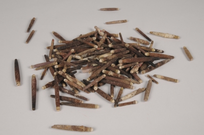 x139ec Natural sea urchin spines 1kg