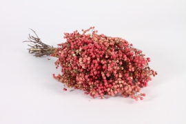 x146lw Natural dried pink pepper H40cm