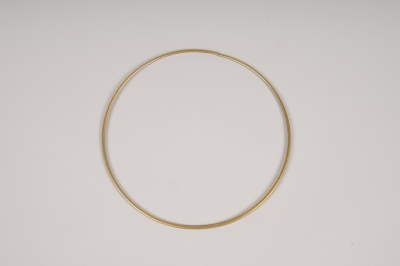x151ec Gold metal ring D20cm