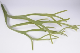 x151ee Green artificial platycerium leaf H125cm