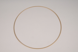 x152ec Cercle en métal or D30cm