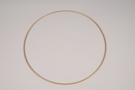 x152ec Gold metal ring D30cm