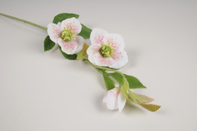 x155am White artificial hellebore H52cm