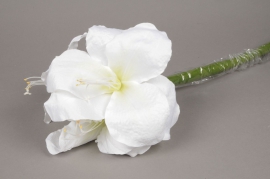 x160fd Amaryllis artificielle blanche H70cm