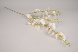 x161am Oncidium artificiel blanc H102cm