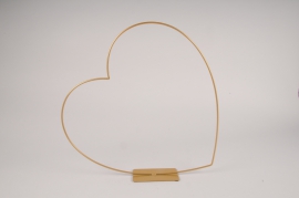 x170ec Cur en métal or D39cm