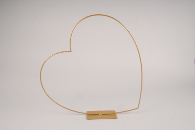 x170ec Gold metal ring D39cm