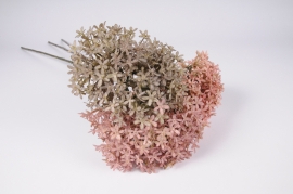 x179el Calotropis artificiel assorti H70cm