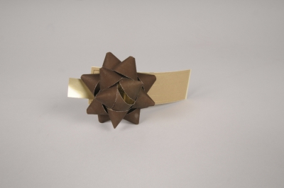 X183RB Bo�te de 50 n�uds en papier marron D7cm