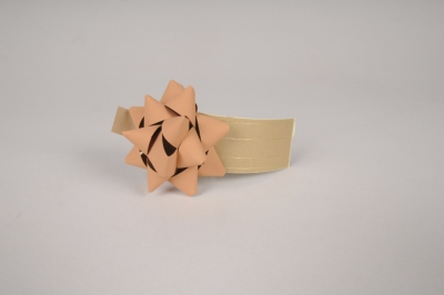 X184RB Bo�te de 50 n�uds en papier marron clair D7cm