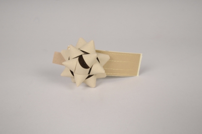 X186RB Bo�te de 50 n�uds en papier beige D7cm