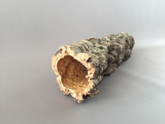 x188wg Dried cork bark D16cm L95cm