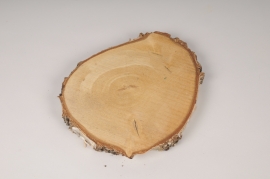 x191ec Slice of natural birch D30cm