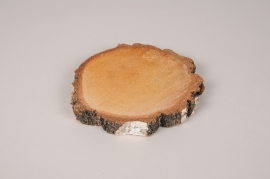 x193ec Slice of natural birch D16cm