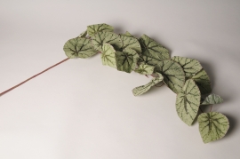 x193ee Green artificial begonia L116cm
