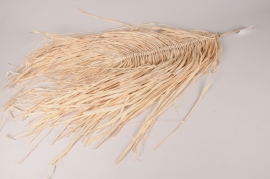 x201ec Natural raffia wall decor leaf-shape 30x80cm