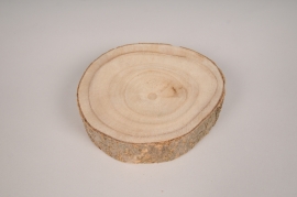 x203ec Slice of natural wood D13cm