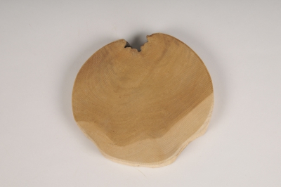 x203wg Slice of natural teak D18cm