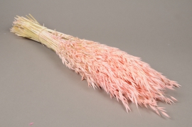 x206ab Pink dried oats H70cm