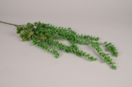 x208di Green artificial amaranth L107cm
