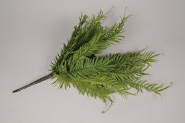 x211am Green artificial fern H60cm