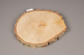 x213wg Slice of natural birch D30cm