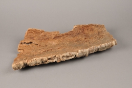 x216wg Dried cork bark 22cm x 50cm 