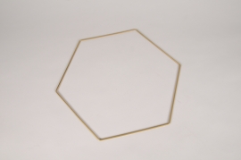 x218ec Gold metal hexagon 30cm