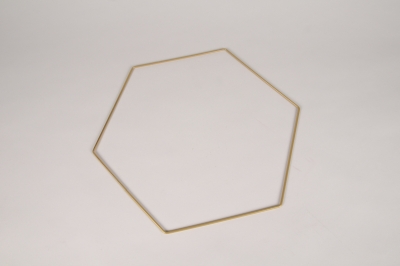 x219ec Gold metal hexagon 40cm