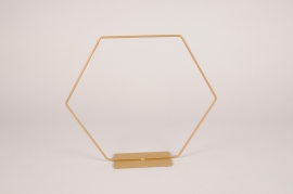 x220ec Gold metal hexagon on base 30cm