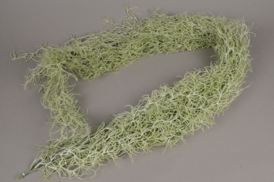 x222fd Tillandsia artificiel vert L160cm