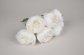 x223am Bunch of white artificial peonies H33cm