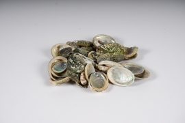 x224ec Natural abalone shells 1kg