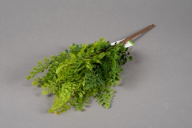 x224ee Artificial pick of fern H42cm