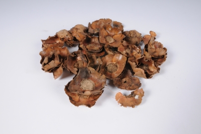 x225ec Natural coco flowers 250g