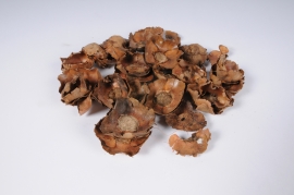 x225ec Natural coco flowers 250g