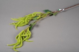 x232ee Artificial green amaranth 110cm