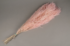 x236ab Fougère stabilisée rose pâle H75cm