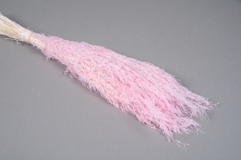 x239ab Light pink dried munni grass H65