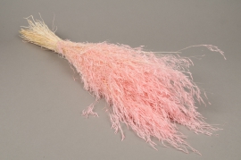 x239ab Pink dried munni grass H65cm