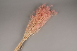 x243ab Pink preserved gypsophilia H75cm