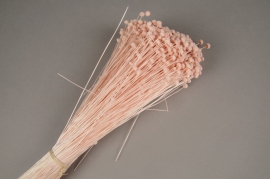 x246ab Pink dried leiothrix Flavescens H40cm