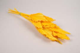 x298ab Palm spear séché jaune H58cm