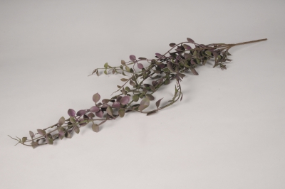 x307fd Callisie rampante artificielle violet fonc� L80cm