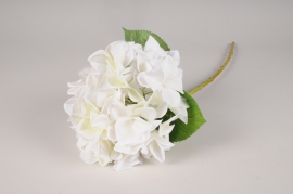 x326am Hortensia artificiel blanc H68cm