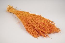 x336ab Orange dried oats H70cm