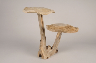x346wg Champignon double en teck H39cm