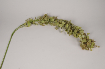 x365fd Lysimachia artificielle vert H142cm